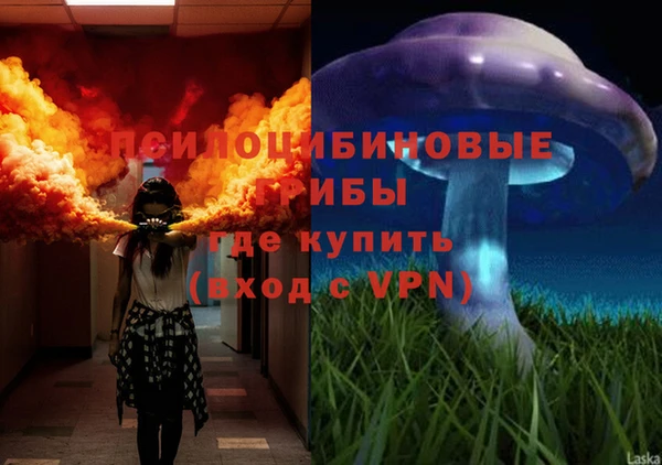 МДПВ Аркадак