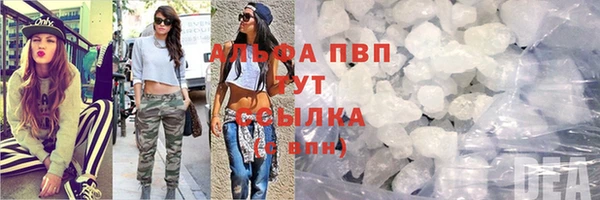 винт Арсеньев