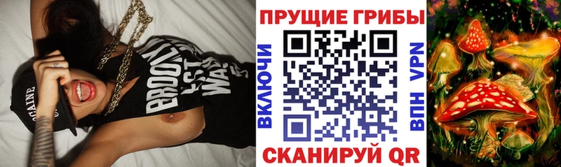Купить  Хабаровск  Галлюциногенные грибы прущие грибы 
